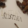 Kalligraphie - Der Flachpinsel und die Rustika  / 24121