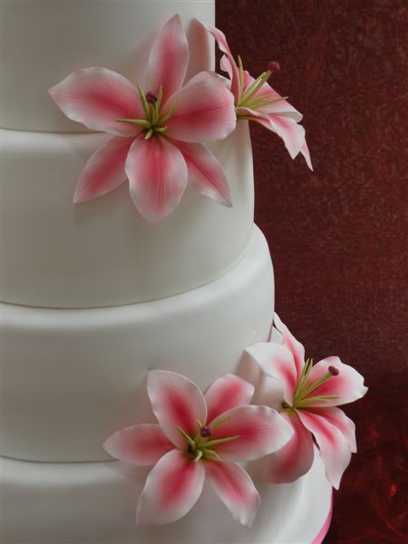 Zuckertage / 23135