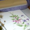 Botanische Malerei / 23164